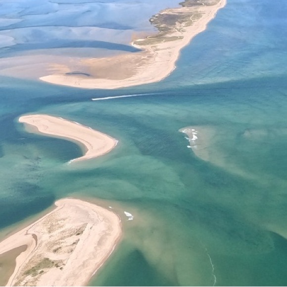 Meet your Posher, Amy - Picture 1 of 1